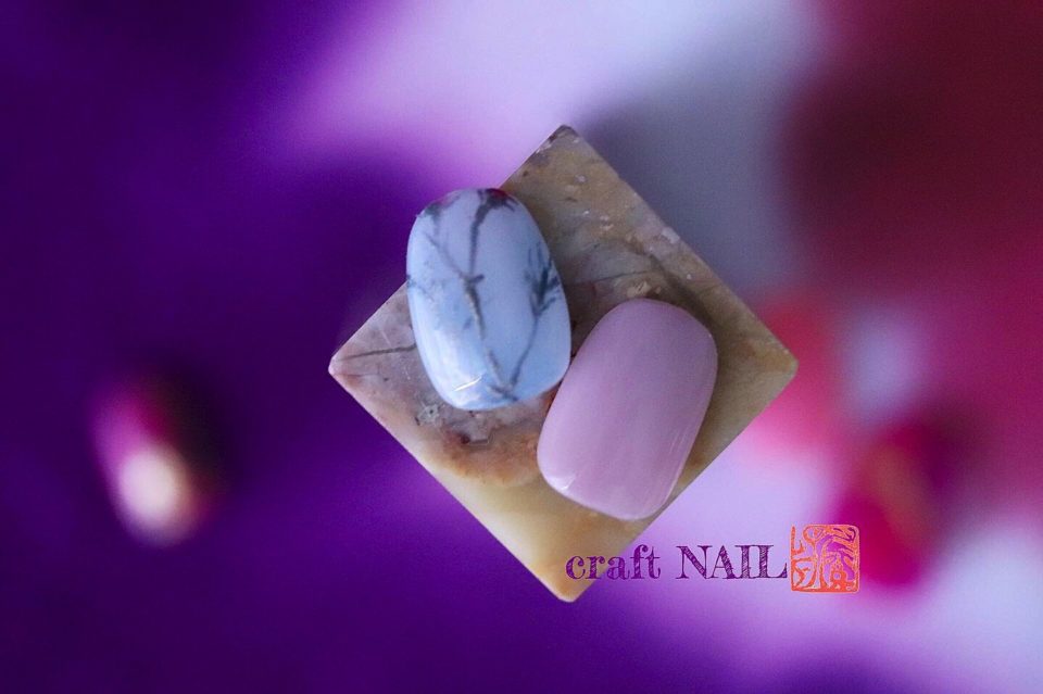 画像1:秋桜 【 cosmos 】