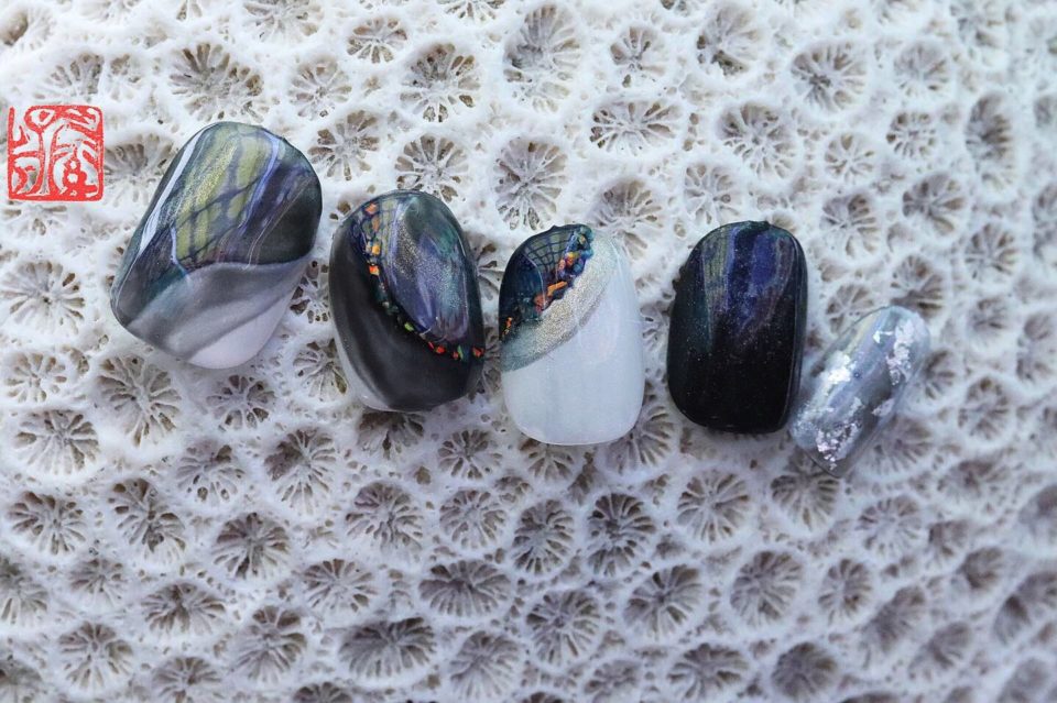 画像1:辿る 【 tadoru 】