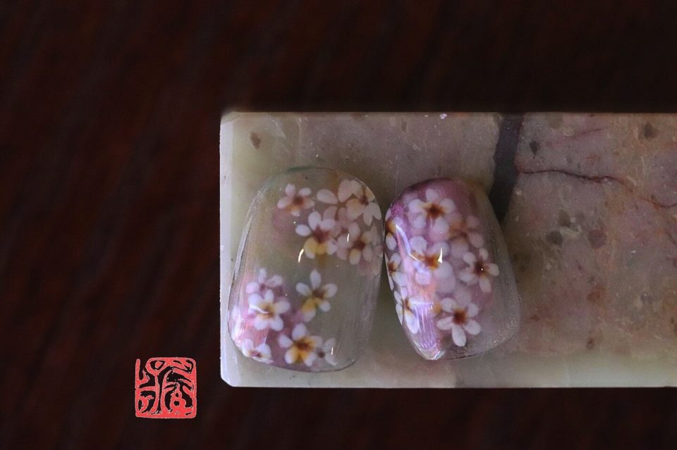 画像1:ユキヤナギ 【 spiraea thunbergii 】