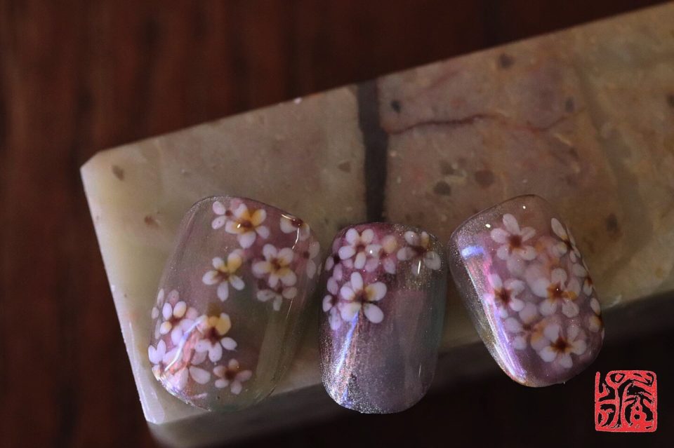 画像1:ユキヤナギ 【 spiraea thunbergii 】